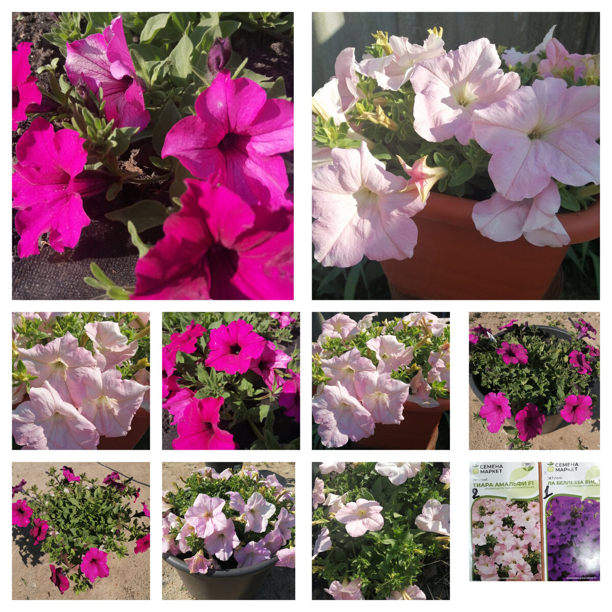 Фото от 5 июня 2023г