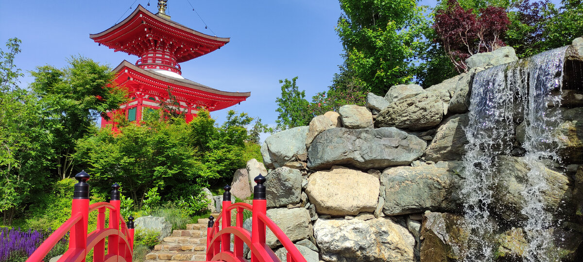 Как получить код в японский сад краснодар. Дракон в японском саду Краснодар. Японский сад. Японский сад Краснодар. Японский сад Краснодар ворота.