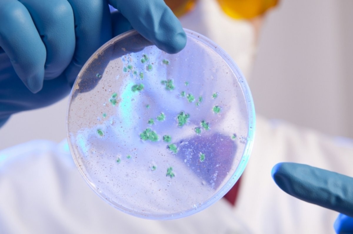    Под Херсоном нашли холерный вибрион. Ждать ли нам эпидемии?