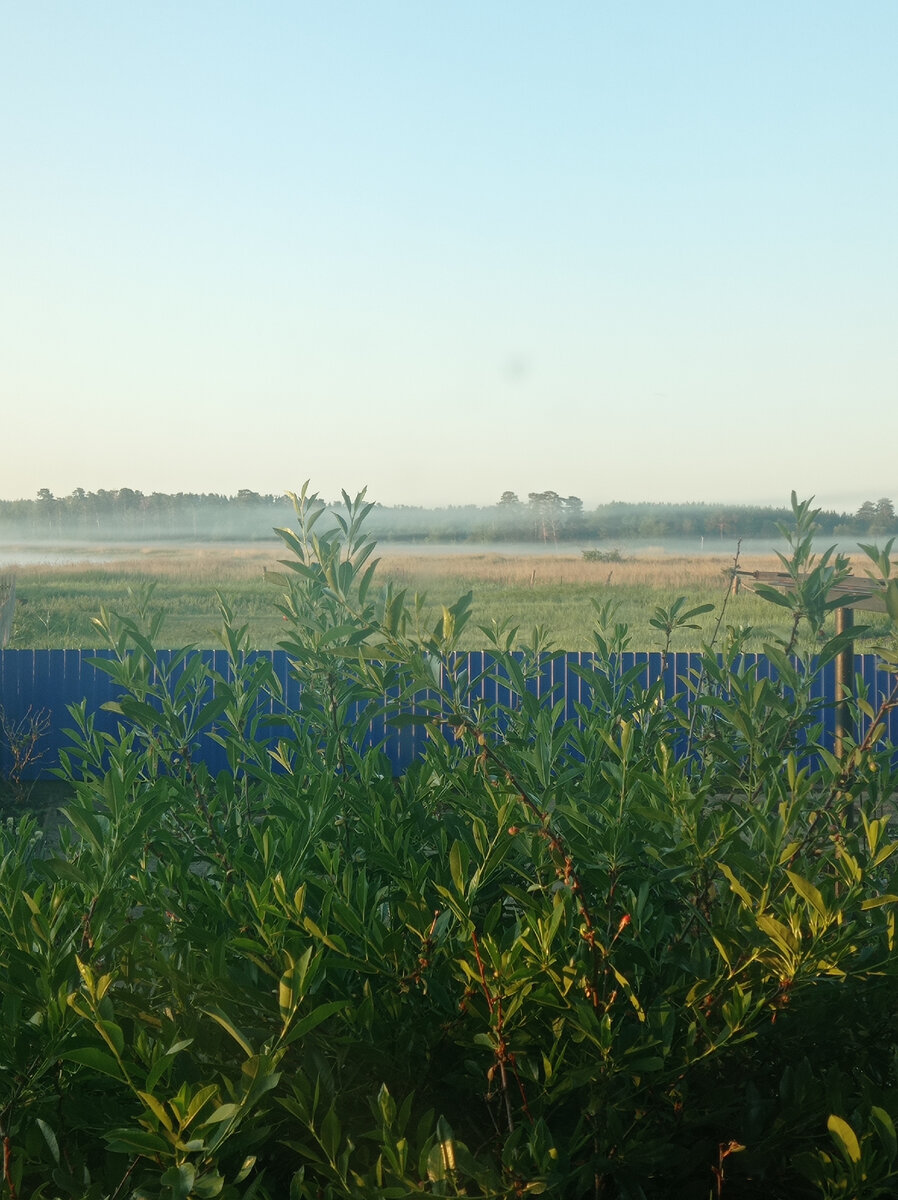 Вид из окна. Туман. 