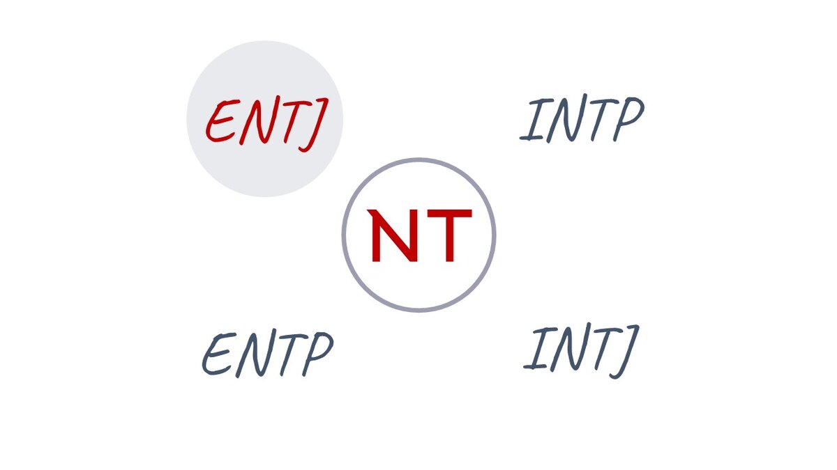 4 вариации мета-типа NT