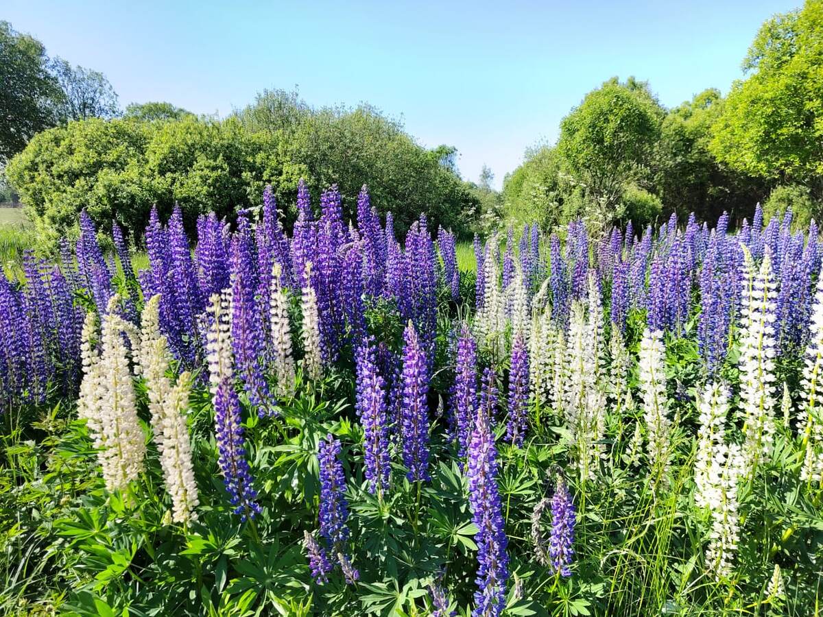 Фото автора канала