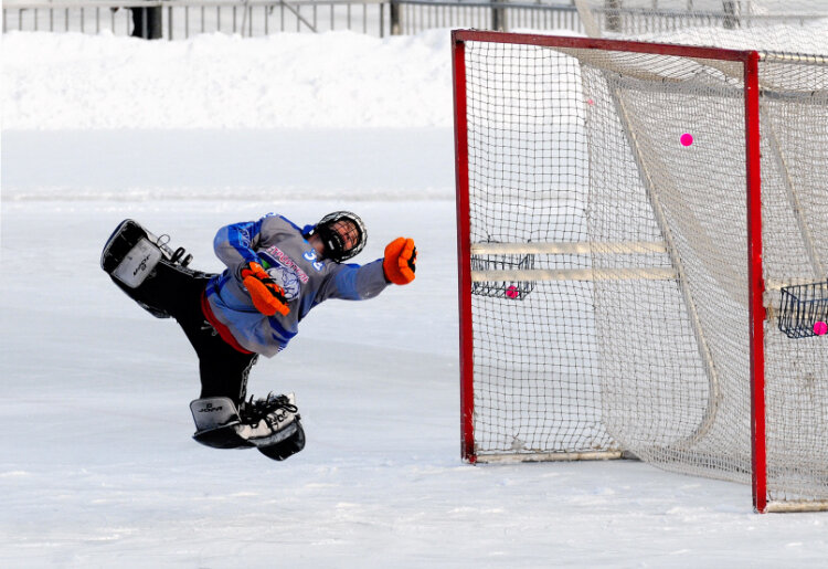 Hockey вратарь защита