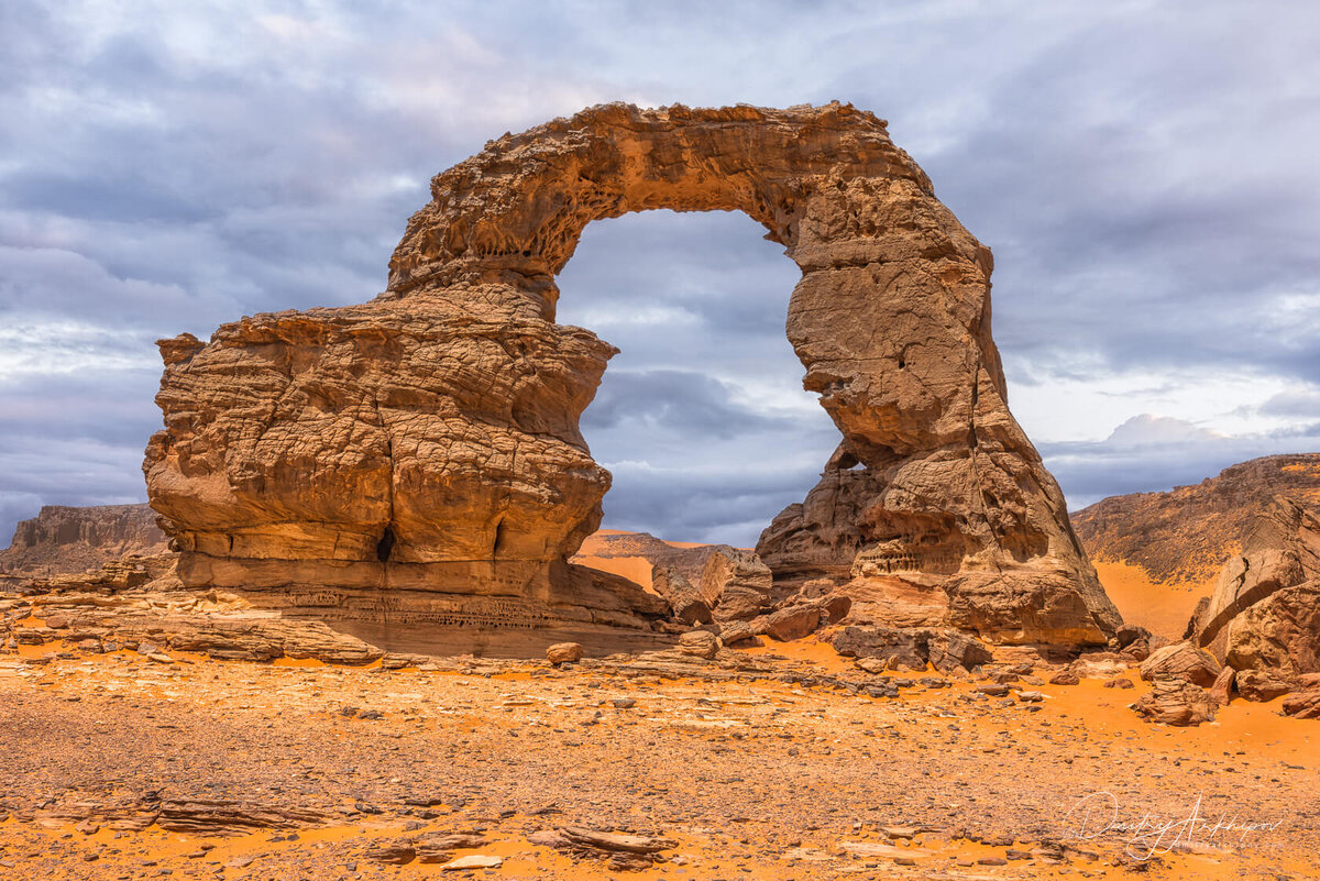Пустыня Сахара и оазисы.