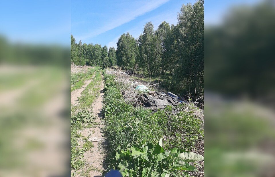 Проект свалка томск