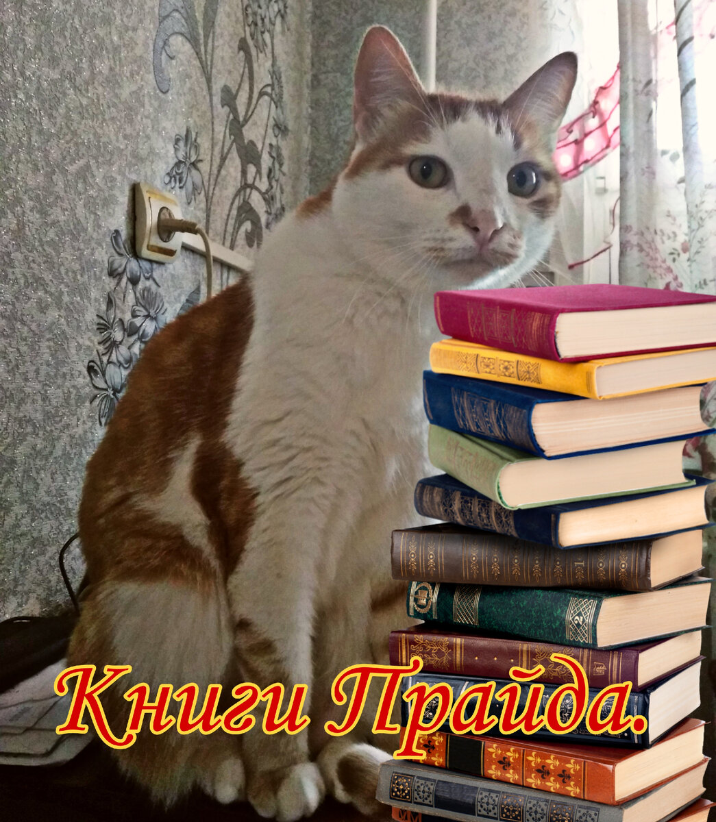 Содержание нашего КАНАЛА.