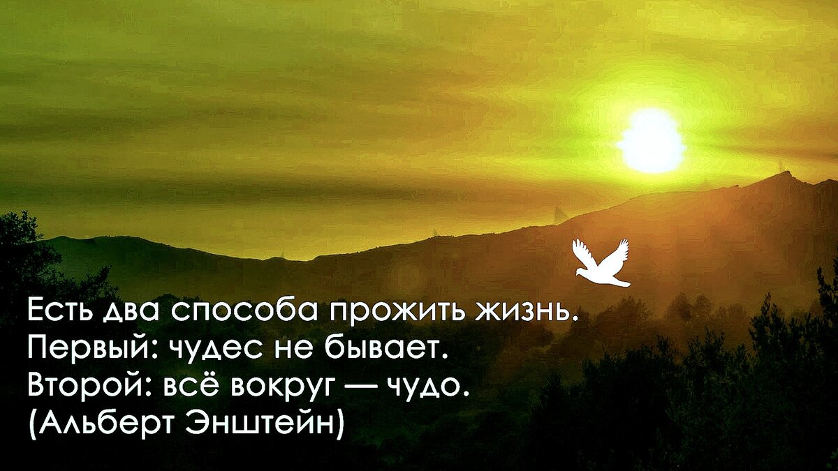 Есть два способа. Фразы благодарности. Благодарность цитаты. Афоризмы про благодарность. Высказывания о благодарности.