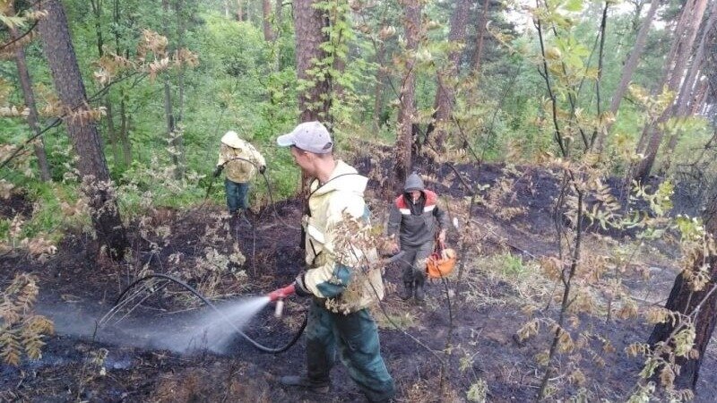     Брошенный людьми костер едва не стал причиной крупной трагедии, рассказали в Минприроды РК.