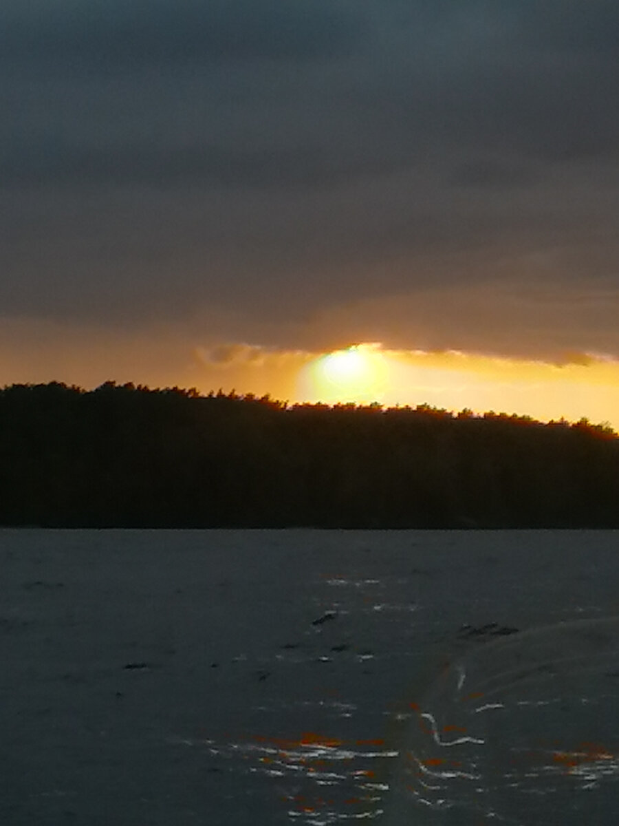 Поднялся ветер, откуда ни возьмись налетела туча! 