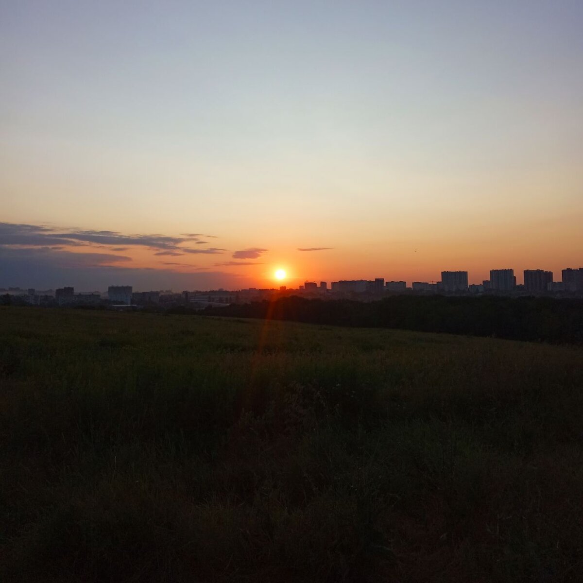 4:30 утра 21 июня 2023 года. Ботанический сад. 