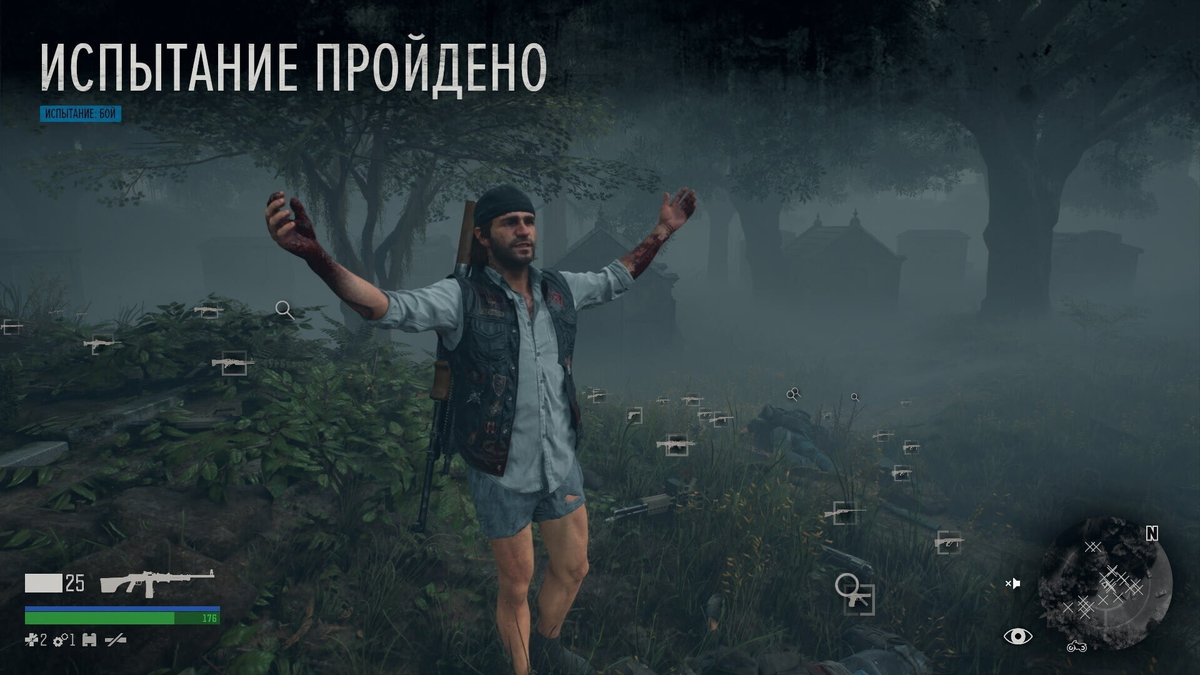 Жизнь после Days Gone | Проникновенный | Дзен