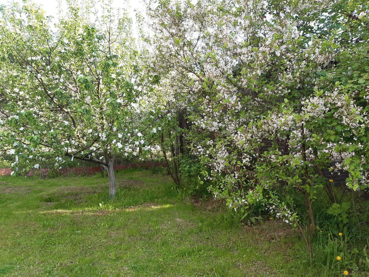 Фото автора.