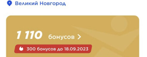 Отличный пример такой системы лояльности-это Спортмастер