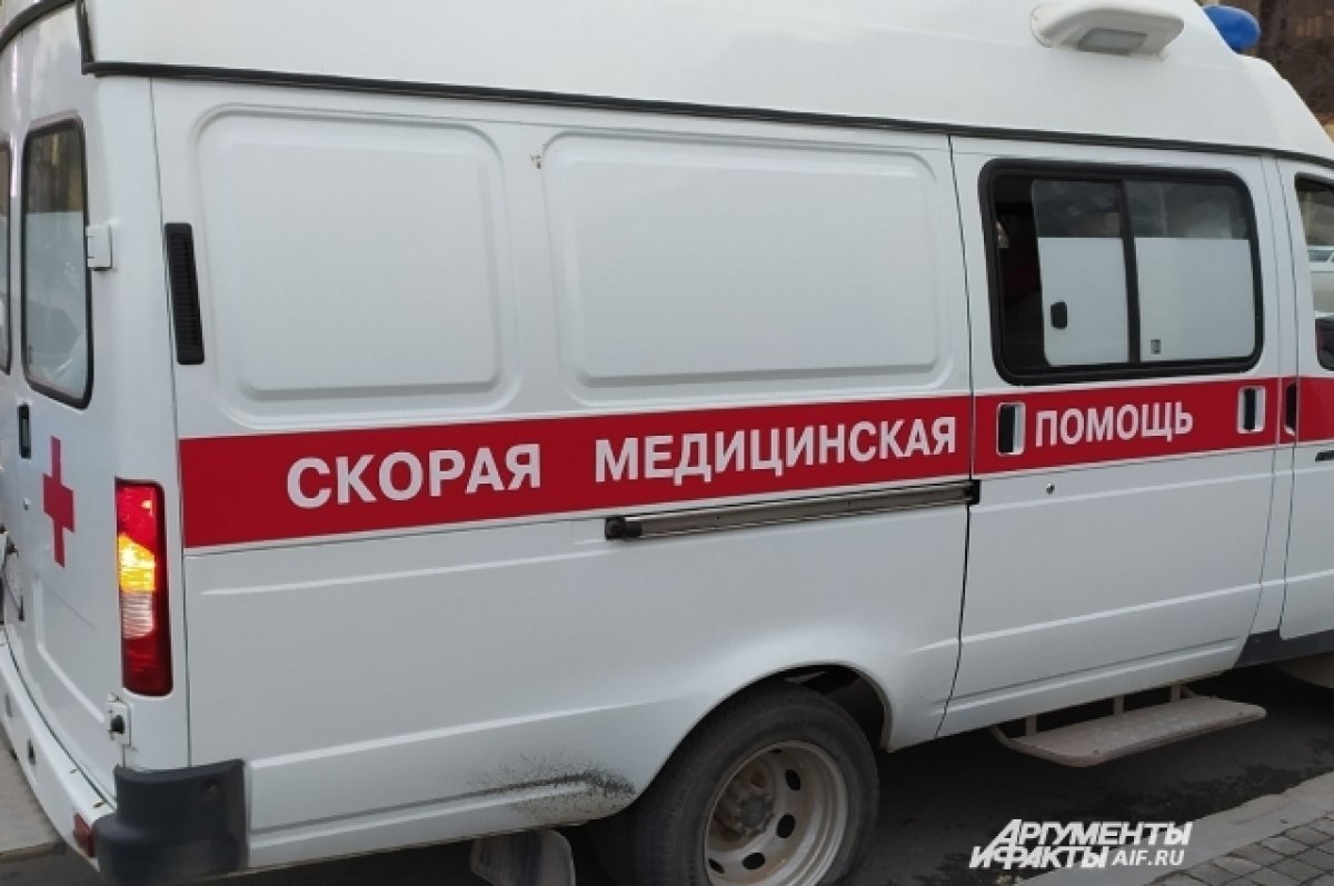    Ребёнка на скорой увезли в больницу, но спасти его не удалось.