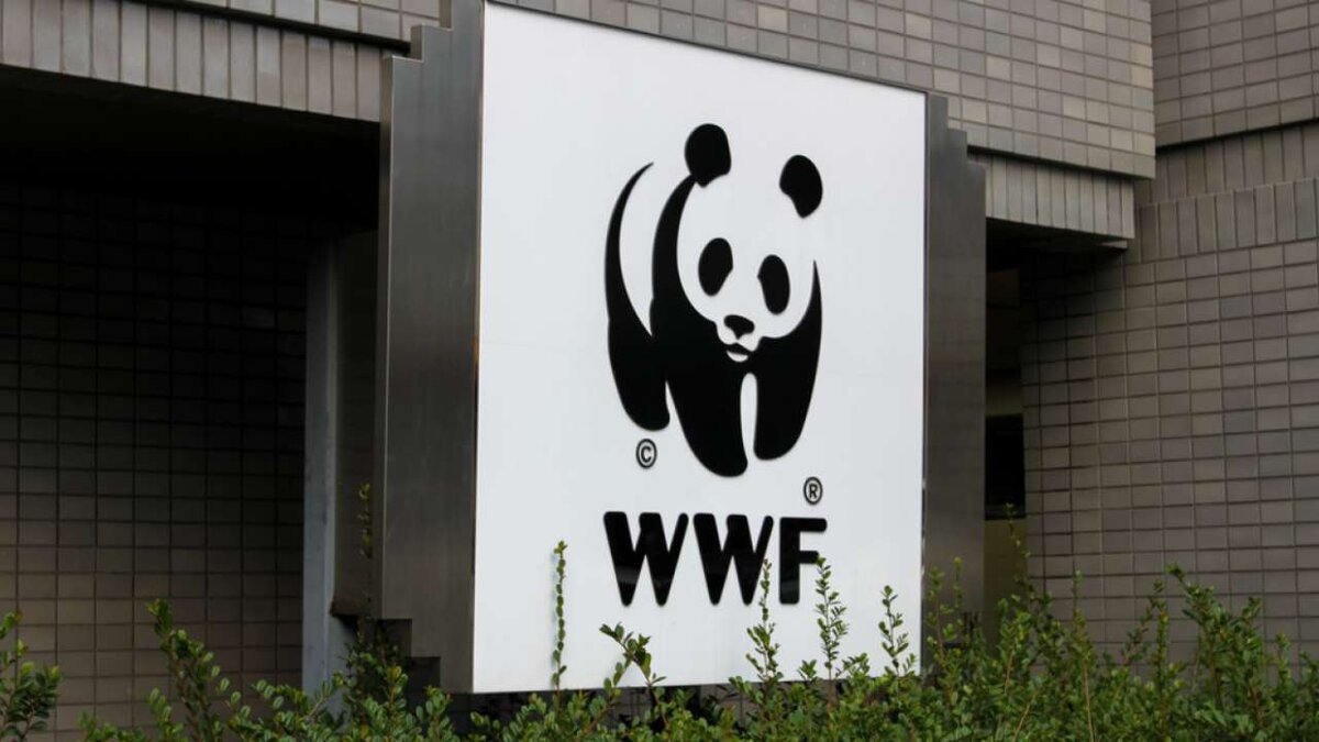    Деятельность Всемирного фонда дикой природы (WWF) признана в России нежелательной