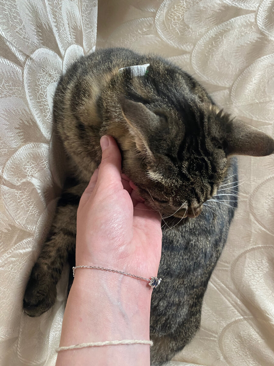 Момент прощания