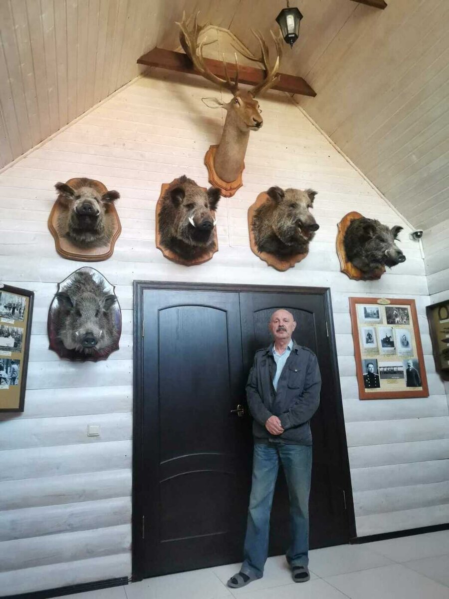 Музей диаграмма воронеж