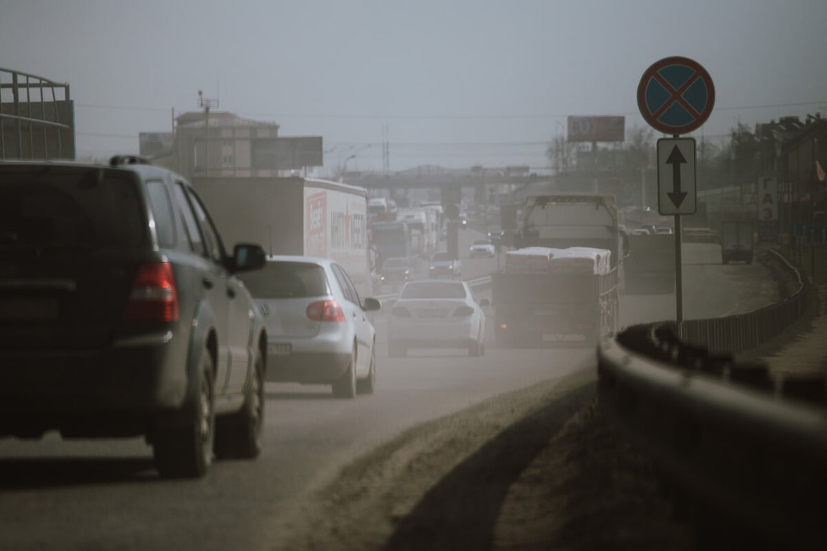 Фото: Денис Яковлев, «Краснодарские известия»
