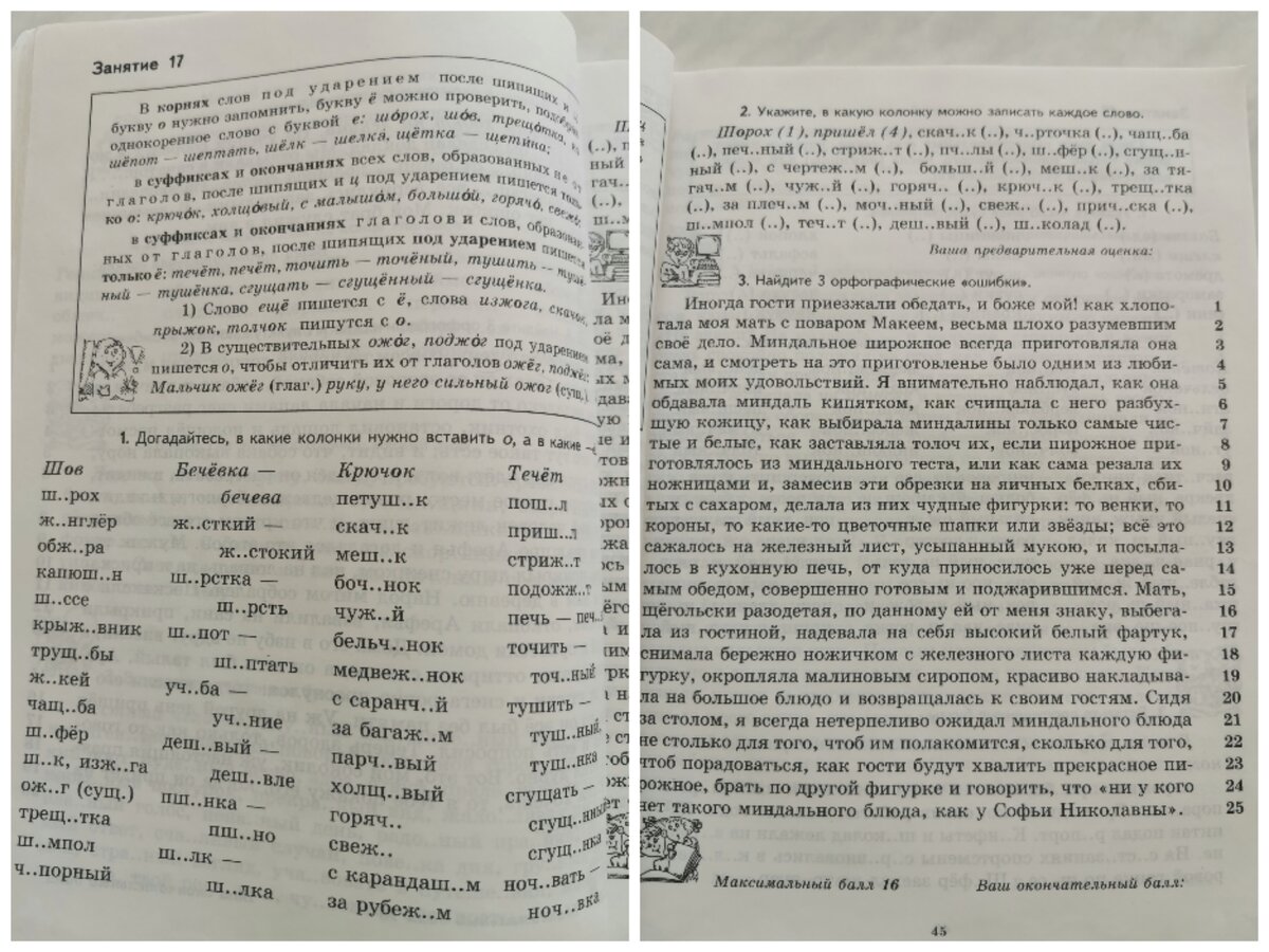 Интересные задания на лето. Прокачиваем метапредметные связи. | Взгляд  учителя Елены | Дзен