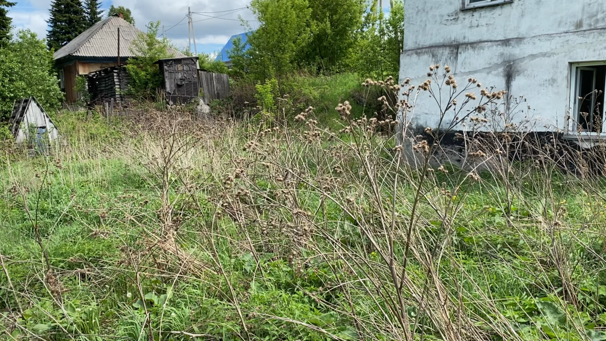 справа угол моего дома, слева туалет, по центру соседняя стайка