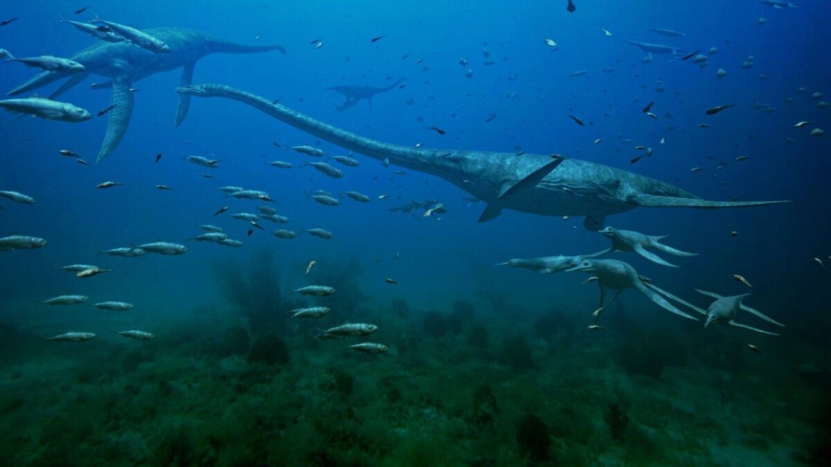     Останки плезиозавров, мозазавров и черепах были обнаружены на территории Красноярского края.