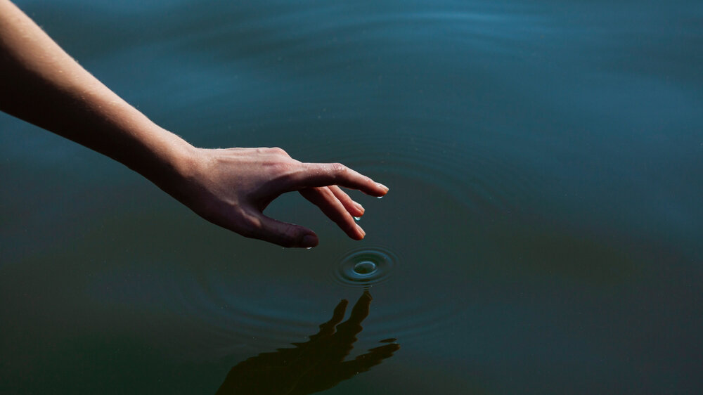    Фото: Shutterstock