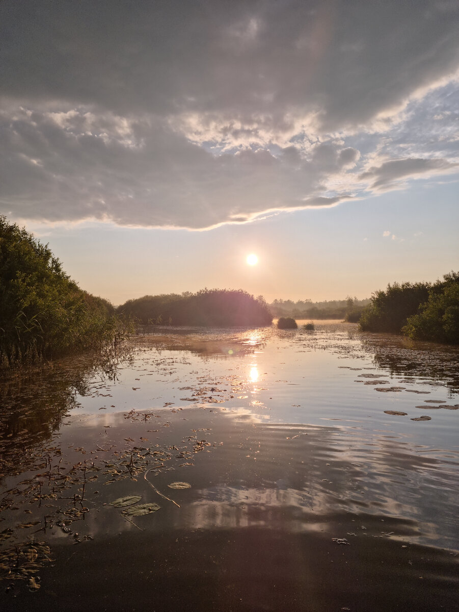 Для ценителей природы