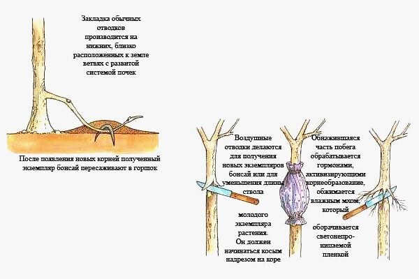 Вестник агропромышленного комплекса №1-2, 2022 г.