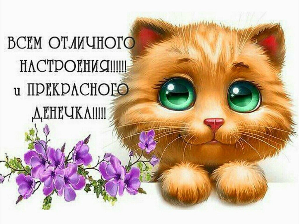 Из интернета 