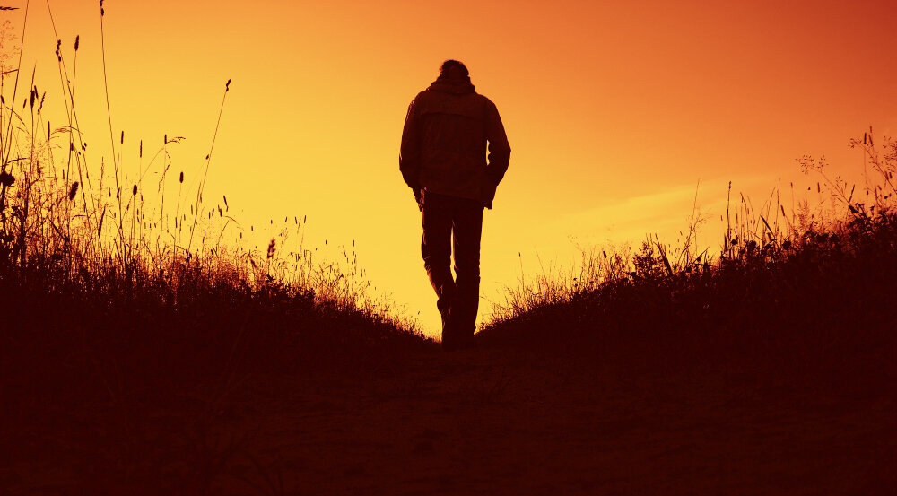  Зачем работать, если можно не работать? В СССР ценили тружеников, а в России умеющих приспособиться к кормушке...-2