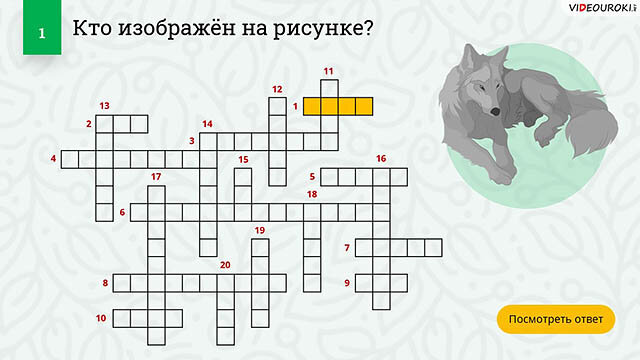 Учителям начальной школы. Кроссворд по окружающему миру для 3 класса ...