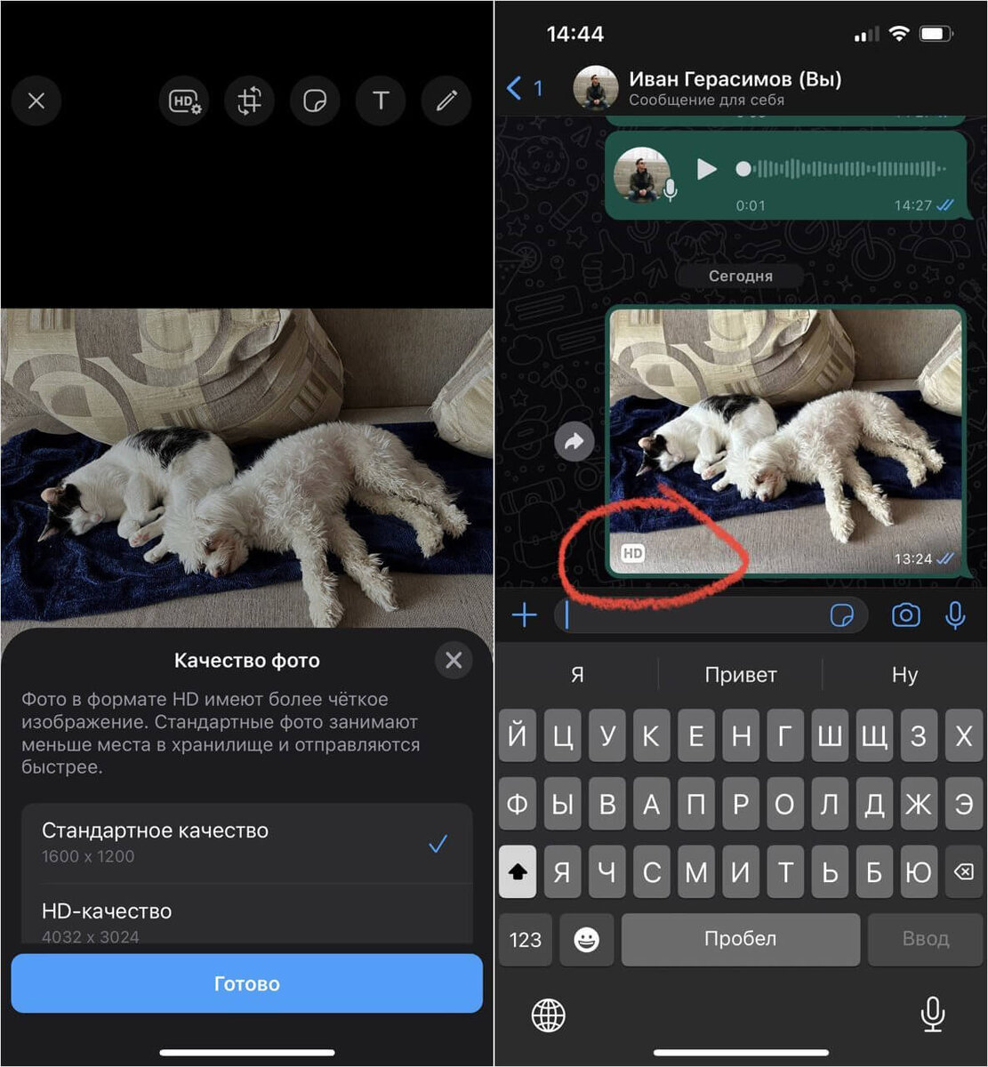     Теперь Ватсап умеет отправлять фото в высоком качестве