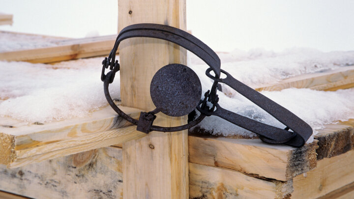 Фото: Globallookpress