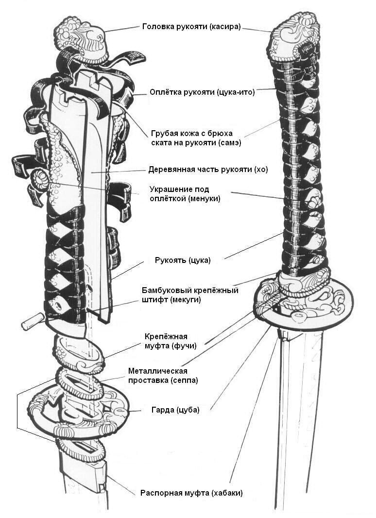 Фото из открытых источников. Схема Цука с названиями отдельных частей