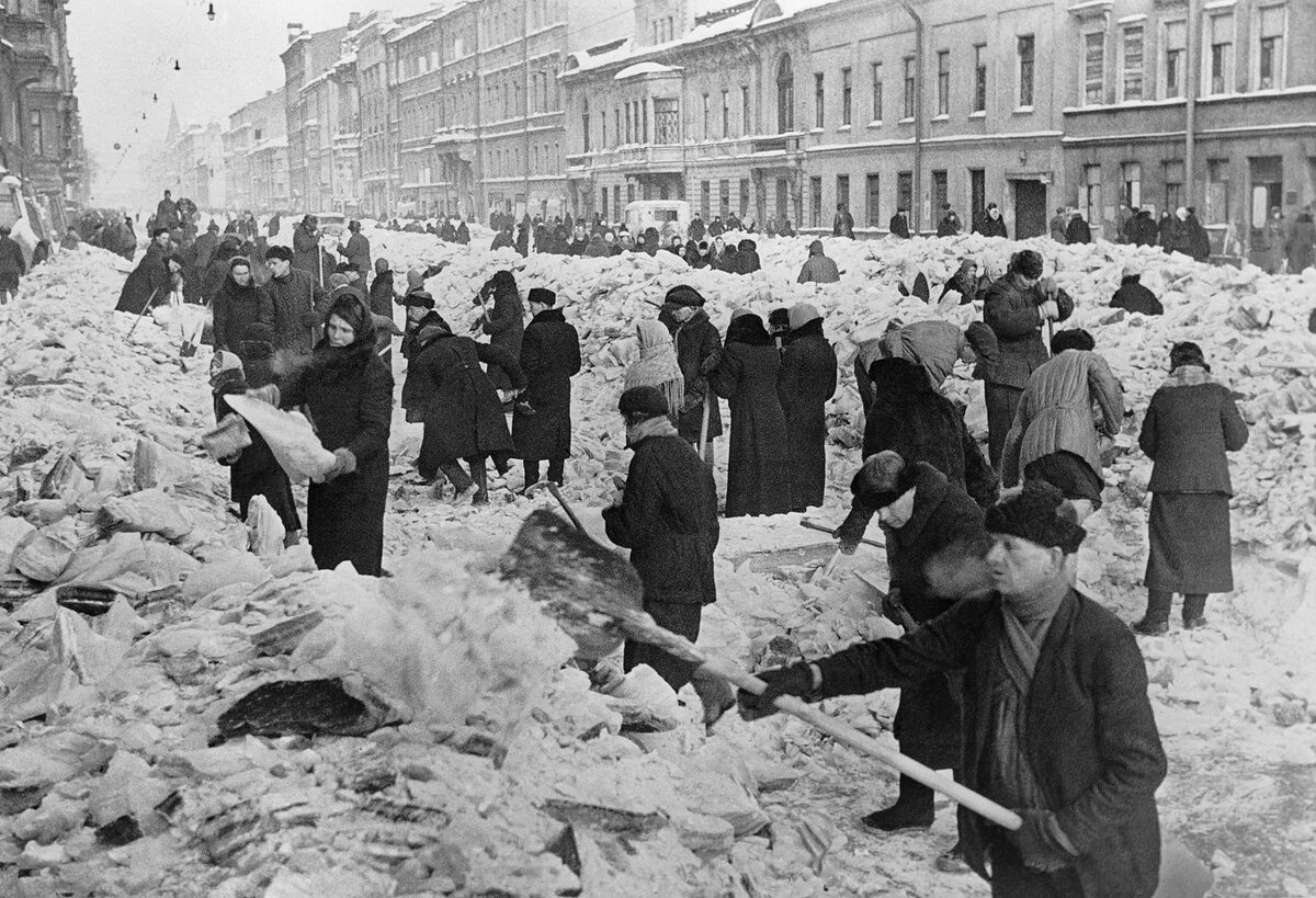 Голоса из окон | ЦЕНТРАЛЬНАЯ НАУЧНО-ТЕХНИЧЕСКАЯ БИБЛИОТЕКА ПО СТРОИТЕЛЬСТВУ  И АРХИТЕКТУРЕ | Дзен