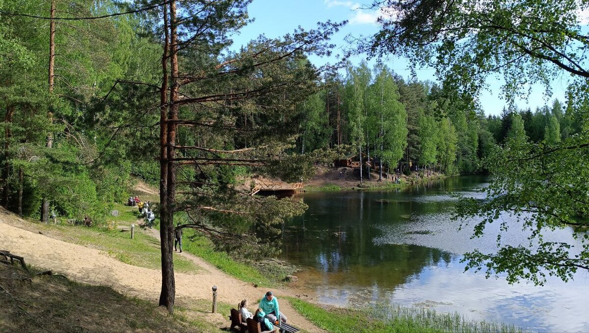 Настоящий релакс для жителей мегаполисов . Фото автора канала "Питер на все случаи жизни "
