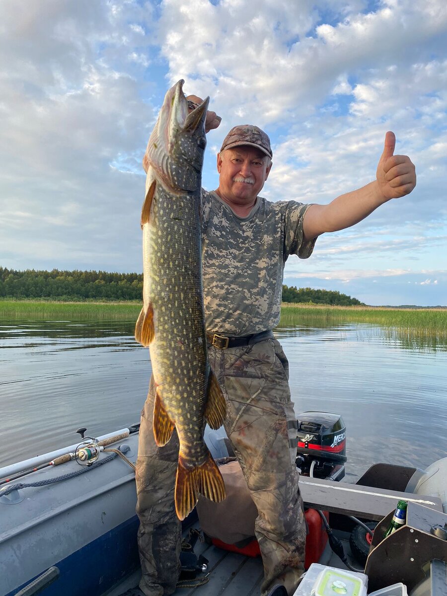 Ловись рыбка большая и маленькая. Озеро ЛАДОГА. Фото от товарища Алексея.