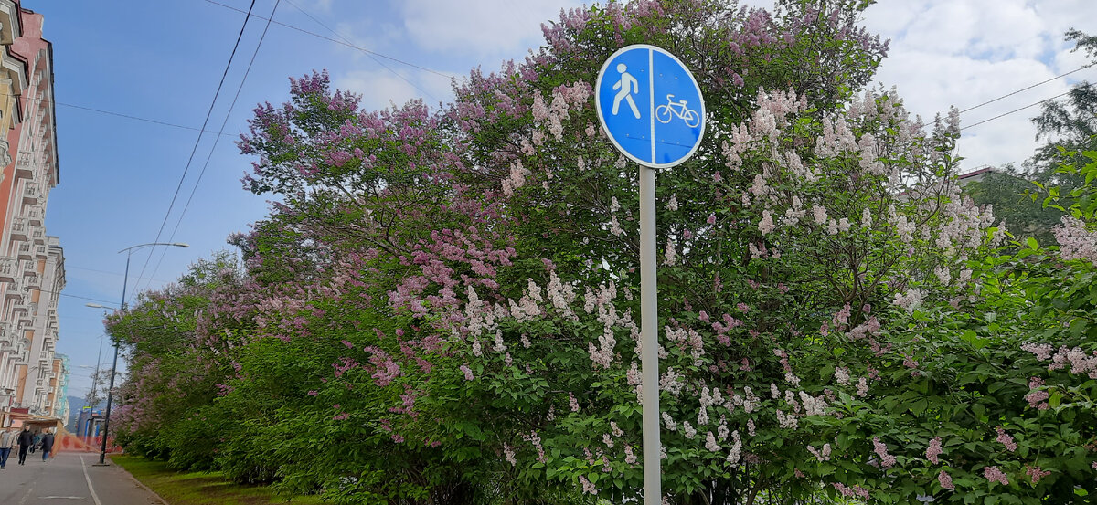 из мурманска обо всем