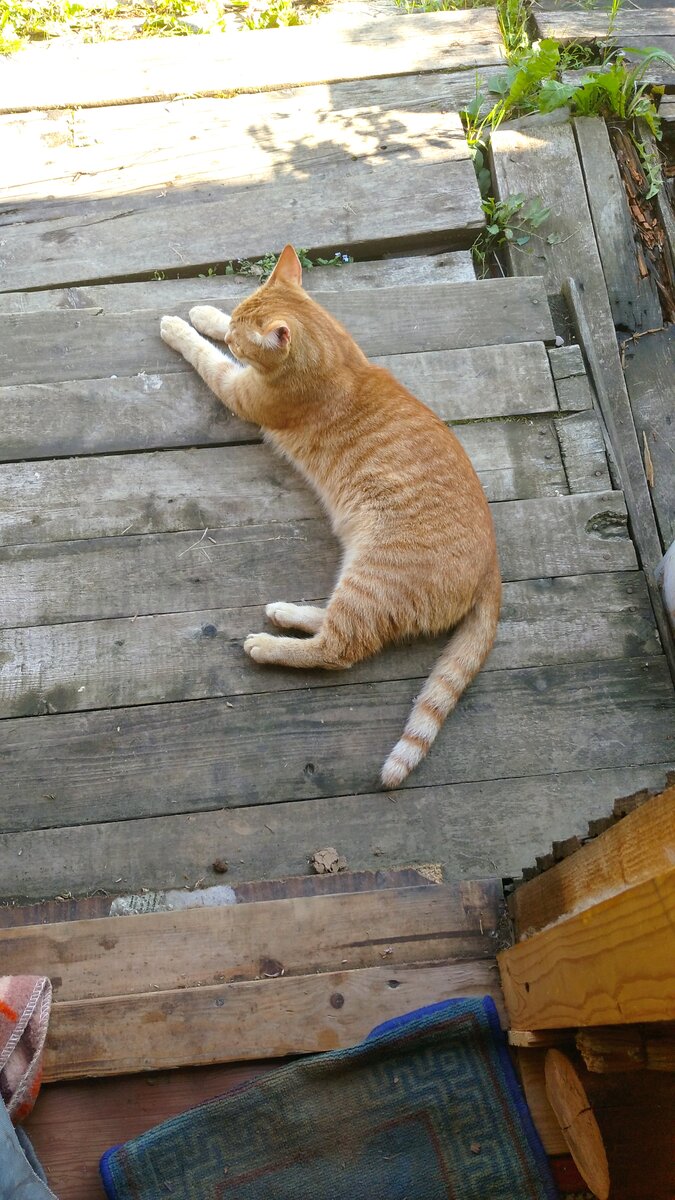 Личное фото.