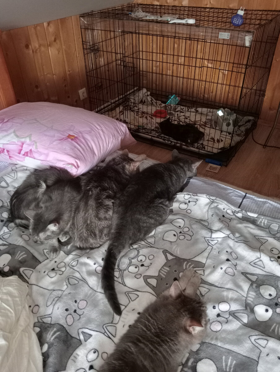 Группа поддержки. Фото из домашнего архива