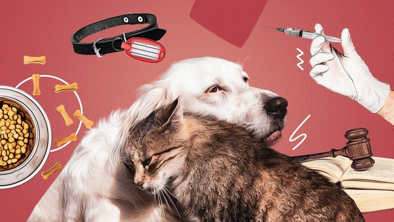 Фото: Валерия Ильина / ИА «Победа26»