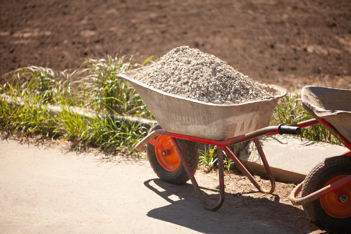 Фото: Shutterstock