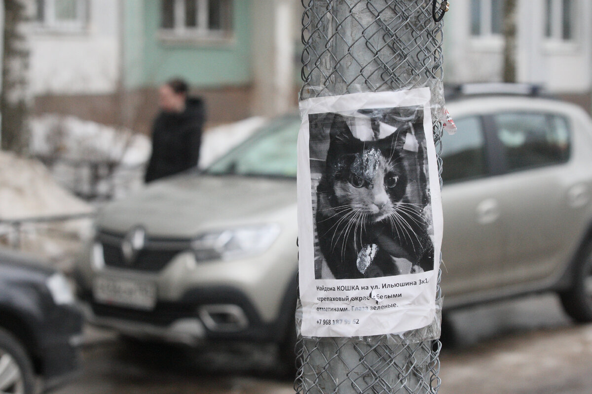 Фото: Замир Усманов / Globallookpress