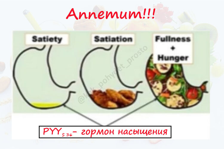 Смотрите, гормон насыщения не выделяется когда мы едим только Белок. Белок с овощами., с крупами. + немного жира. Экспериментируйте))