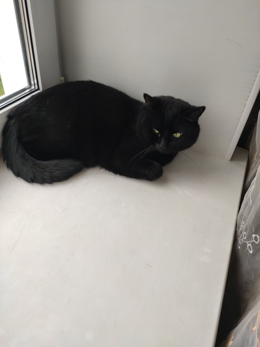 Фото автора. 