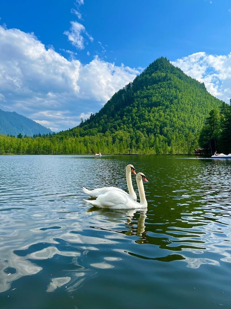 Экопарк южный байкал сайт. Экопарк Южный Байкал. Юг Байкала. Экопарк Южный Байкал весной.