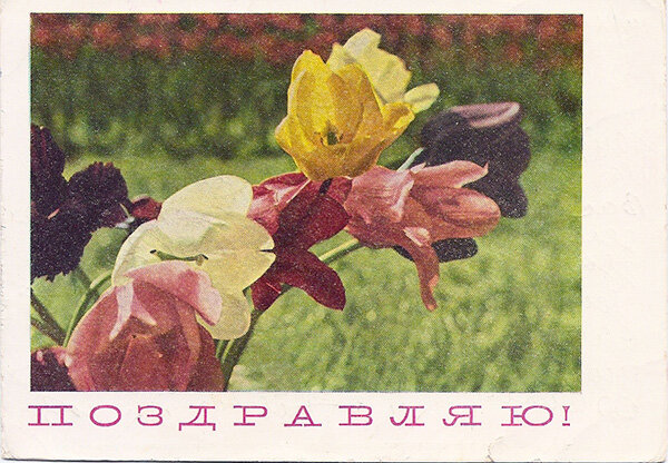 1968 г.