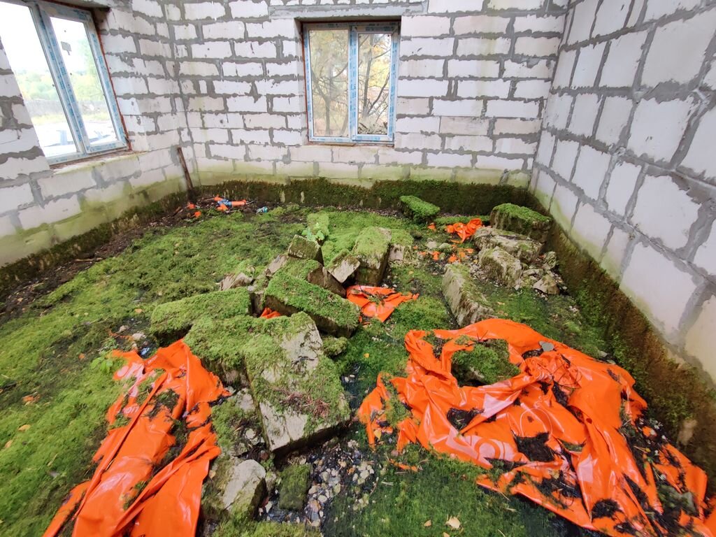 Обильное увлажнение и биопоражение строительных конструкций