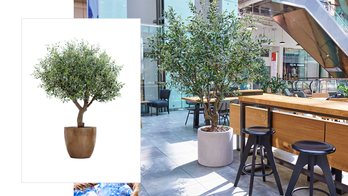 Кафе Stars Coffee в ТЦ Авиапарк. Озеленение TREEZ Collection  