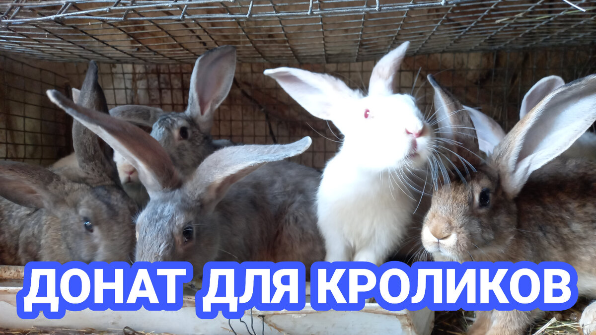 Мои)))